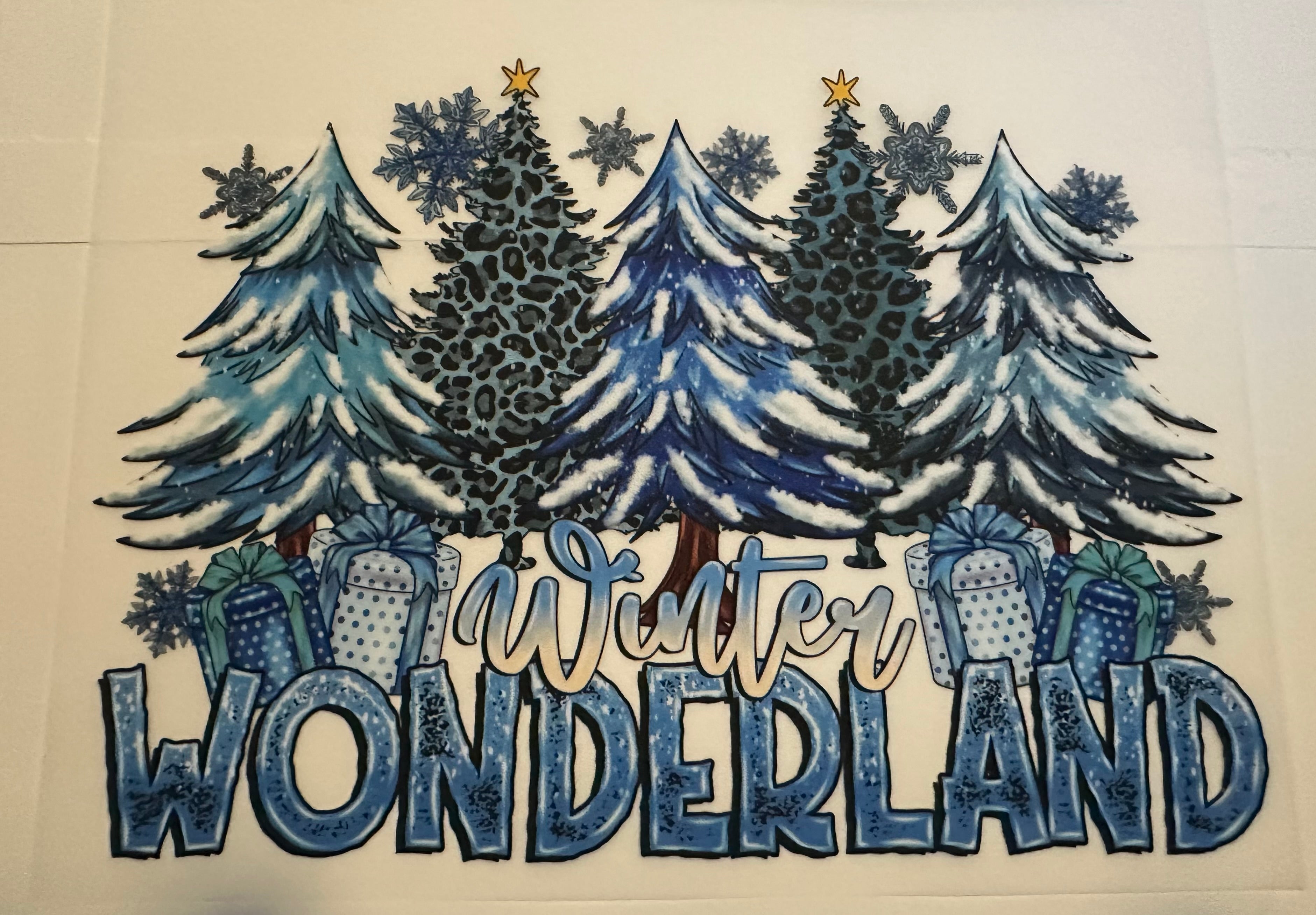 Winter wonderland