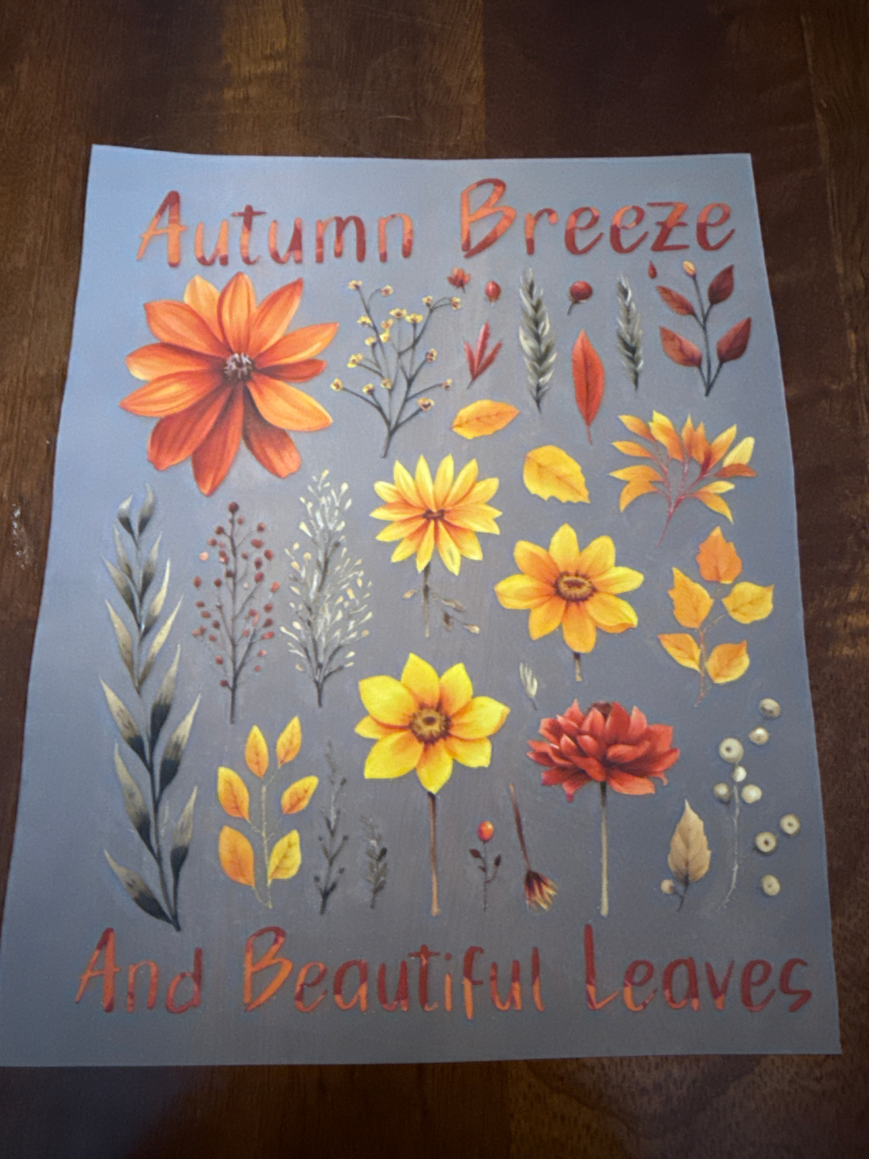 Autumn Breeze And Beautiful Leaves